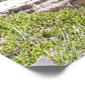 Picturesque Canadian Waterfall, Stanley Herfsten Poster (Hoek)