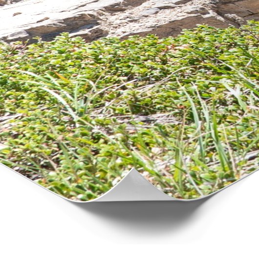 Picturesque Canadian Waterfall, Stanley Herfsten Poster (Hoek)