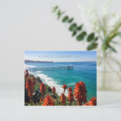 Picturesque La Jolla, Californië Briefkaart (Staand voorkant)