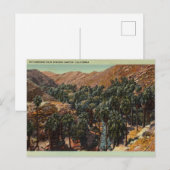 Picturesque Palm Springs Canyon, Californië Briefkaart (Voorkant / Achterkant)
