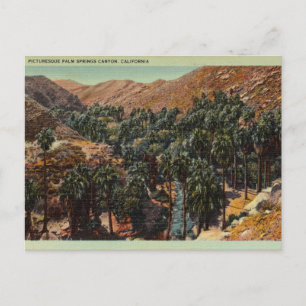 Picturesque Palm Springs Canyon, Californië Briefkaart