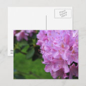 Picturesque Rhododendron Briefkaart (Voorkant / Achterkant)
