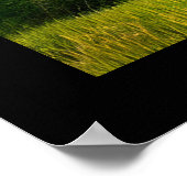 Picturesque Rustic Autumn Maple Leaves Poster (Hoek)