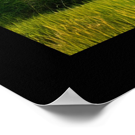 Picturesque Rustic Autumn Maple Leaves Poster (Hoek)