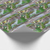 Picus viridis cadeaupapier (Hoek)