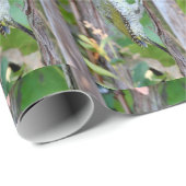 Picus viridis cadeaupapier (Rol Hoek)