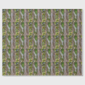 Picus Viridis - Grünspecht Cadeaupapier (Vlak)
