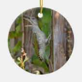Picus Viridis - Grünspecht Keramisch Ornament (Voorkant)