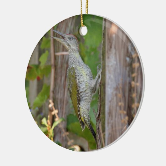 Picus Viridis - Grünspecht Keramisch Ornament (Links)