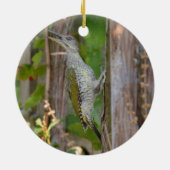 Picus Viridis - Grünspecht Keramisch Ornament (Achterkant)