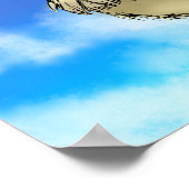 Pidge Y Poster (Hoek)