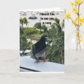 PIDGEON COOING *FIJNE VERJAARDAG* VOOR JOU! KAART (Gele Bloem)