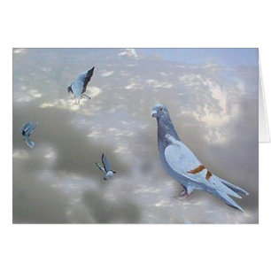 Pidgeons-vogelkaart thuismaken