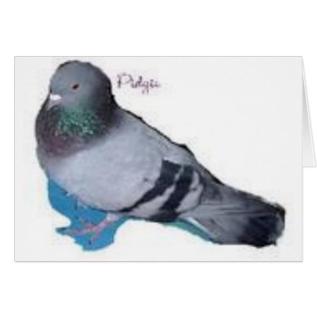 Pidgie Het Pidgie Fonds Duif (Voorkant Horizontaal)