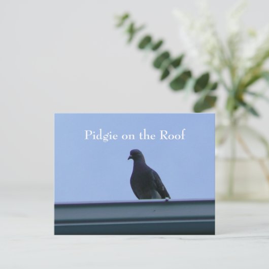 Pidgie op de weg briefkaart (Staand voorkant)