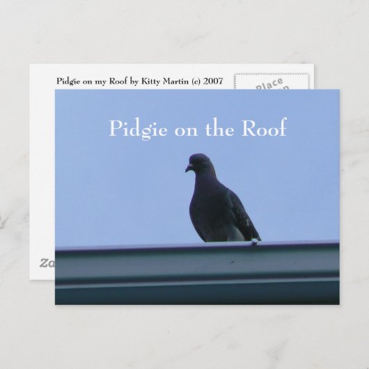 Pidgie op de weg briefkaart (Voorkant / Achterkant)