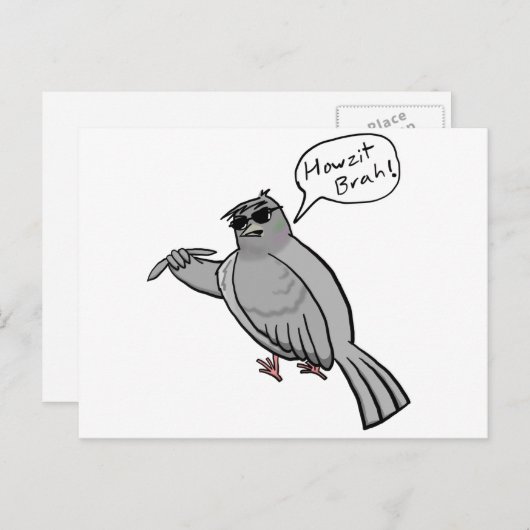 Pidgin Pigeon Briefkaart (Voorkant / Achterkant)