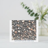 Pidotes die tandfossielen verbrijzelen briefkaart (Staand voorkant)