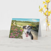 Pie in een veld van Dahlia's (Hond op pad blanco k Kaart (Gele Bloem)