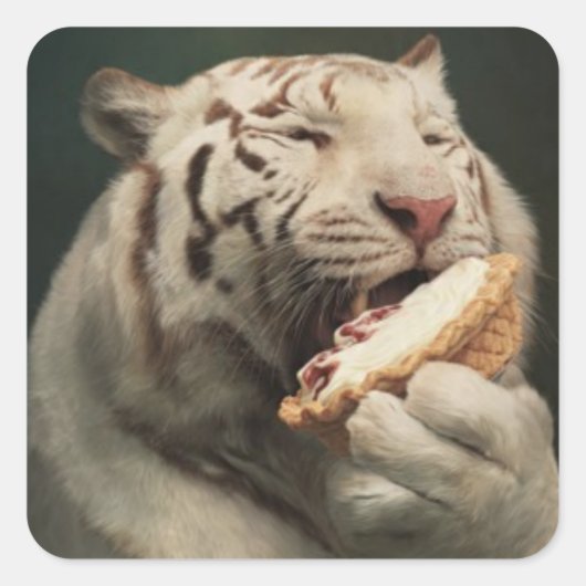 Pie-Loving White Tiger – Fun Sticker (Voorkant)
