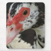 Pie zegt: "Hoi!" Muismat (Voorkant)