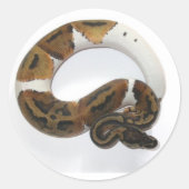 Piebald bal python ronde sticker (Voorkant)