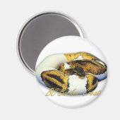 Piebald Ball Python Magneet (Voorkant / Achterkant)