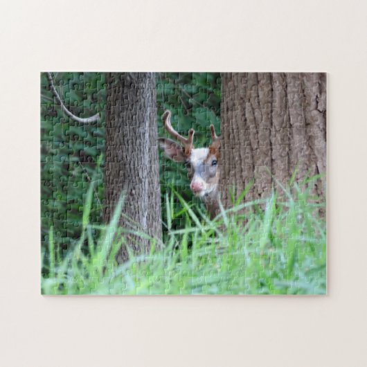 Piebald buck puzzel legpuzzel (Horizontaal)