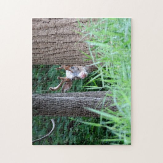 Piebald buck puzzel legpuzzel (Verticaal)