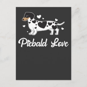 Piebald Dachshund Dog Eigenaar Gift Briefkaart