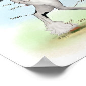 Piebald Gypsy Horse Equestrian Anatomy Poster (Hoek)