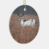 Piebald Herten Foto Ornament (Rechts)