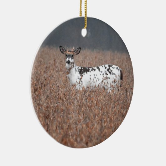 Piebald Herten Foto Ornament (Rechts)