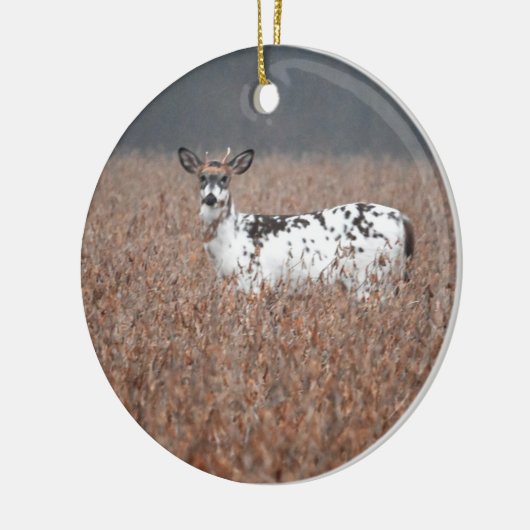 Piebald Herten Foto Ornament (Links)