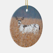 Piebald Herten Foto Ornament (Rechts)