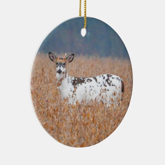 Piebald Herten Foto Ornament (Rechts)