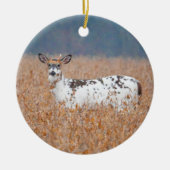 Piebald Herten Foto Ornament (Voorkant)