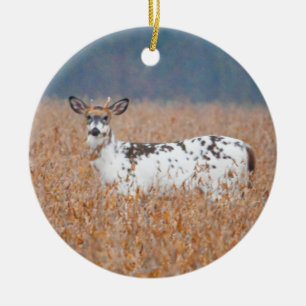Piebald Herten Foto Ornament