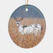 Piebald Herten Foto Ornament (Links)