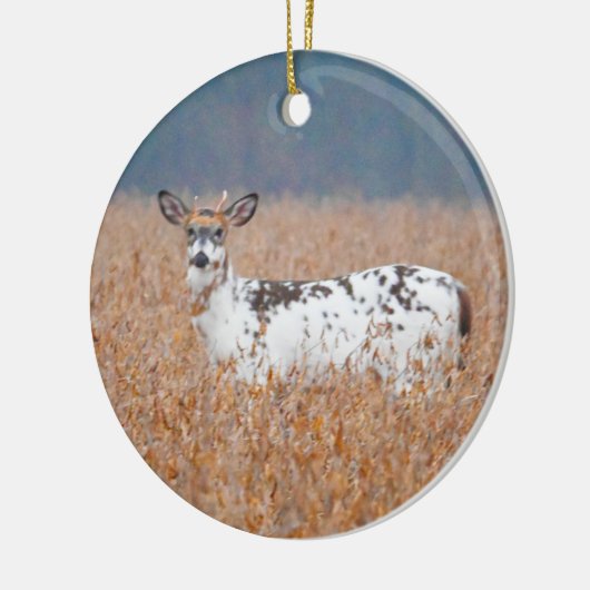 Piebald Herten Foto Ornament (Links)