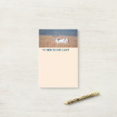 Piebald Herten Foto Post-it® Notes (Op bureau)