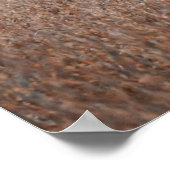 Piebald Herten Foto Poster (Hoek)