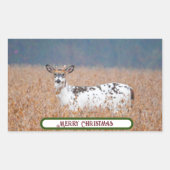 Piebald Herten Foto Stickers (Voorkant)