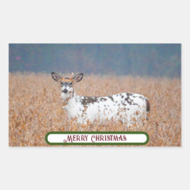 Piebald Herten Foto Stickers