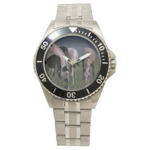 Piebald Horse Family Drink Mannen polshorts Horloge