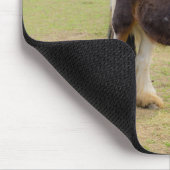 Piebald paard in de wei muismat (Hoek)