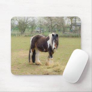 Piebald paard in de wei muismat