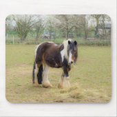 Piebald paard in de wei muismat (Voorkant)