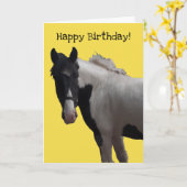 Piebald Paint Pony Kaart (Gele Bloem)