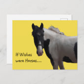 Piebald Paint Pony Wensen Geel Foto Briefkaart (Voorkant / Achterkant)